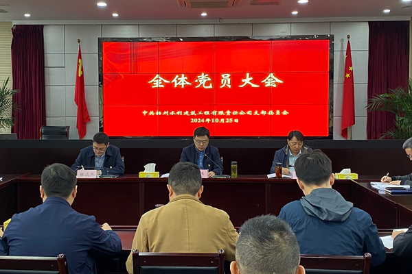 公司党支部换届选举党员大会顺利召开